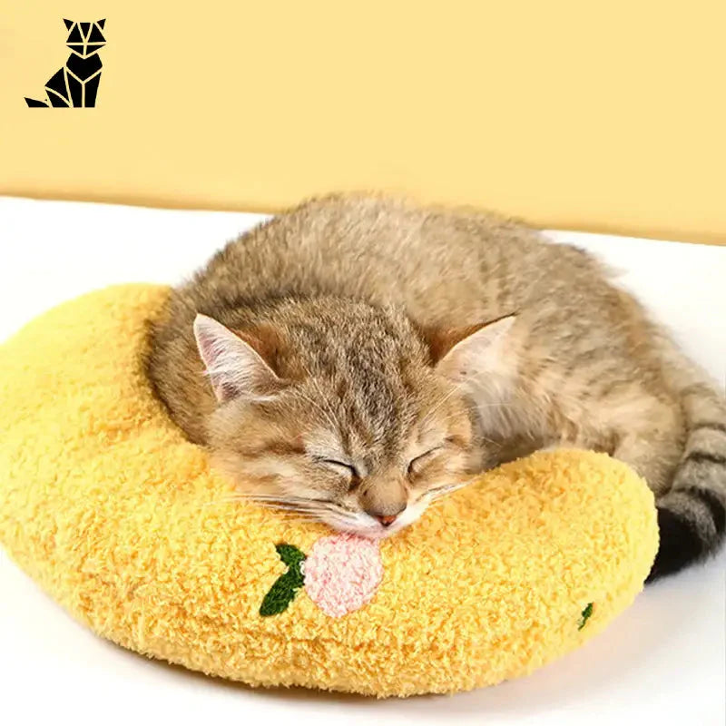 Petit chaton dormant sur un oreiller jaune dans un lit douillet pour chats - Confort et sécurité garantis