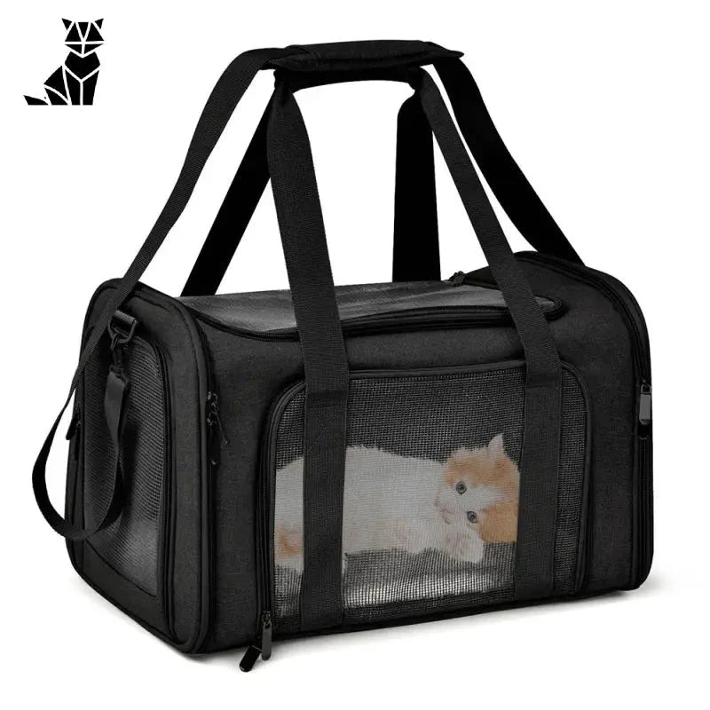 Un petit chien dans un sac de transport noir, facile à transporter